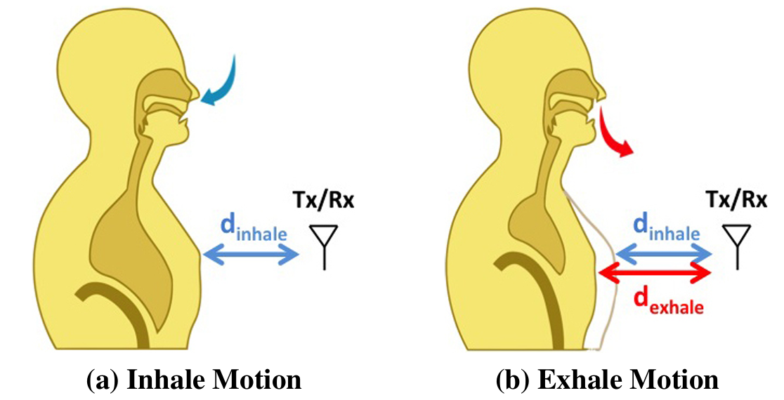 Diagram showing inhale vs exhale chest-wall displacement relative to a Tx/Rx antenna.